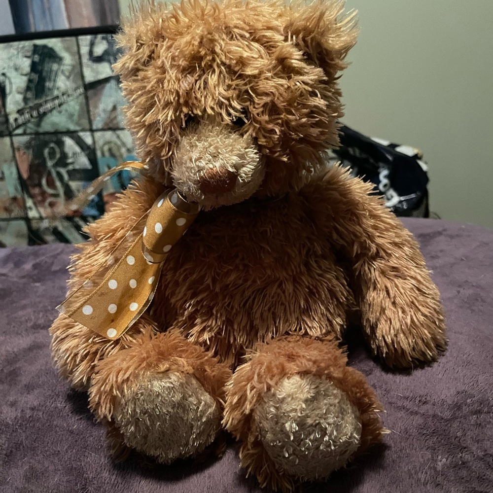 Gund small bear with polkadotted bow
